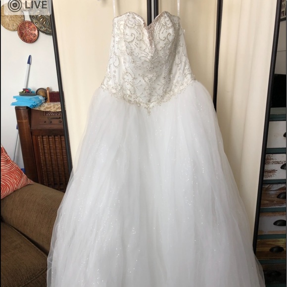 Brand new never used unaltered wedding gown.